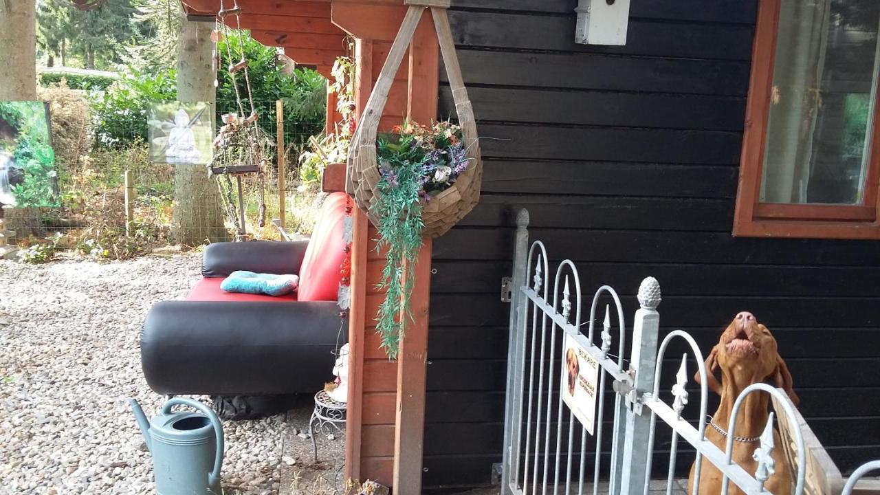 Chalet Op Een Rustig Park In De Natuur プッテン エクステリア 写真