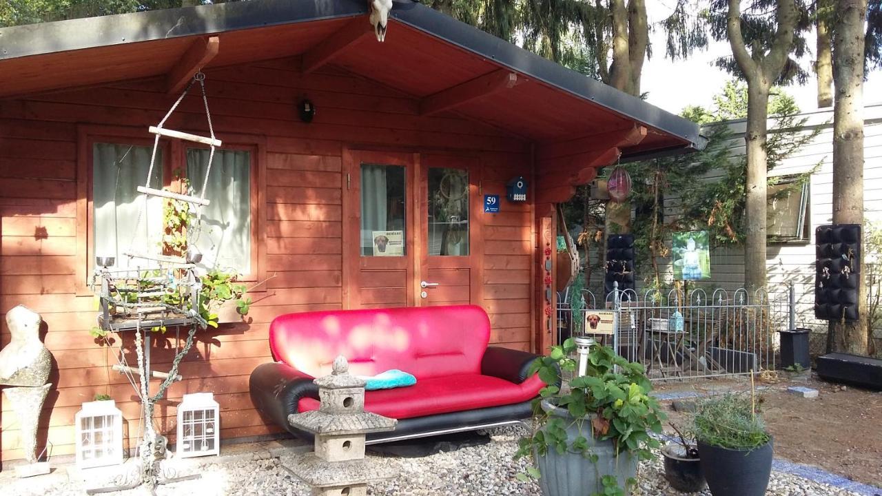 Chalet Op Een Rustig Park In De Natuur プッテン エクステリア 写真