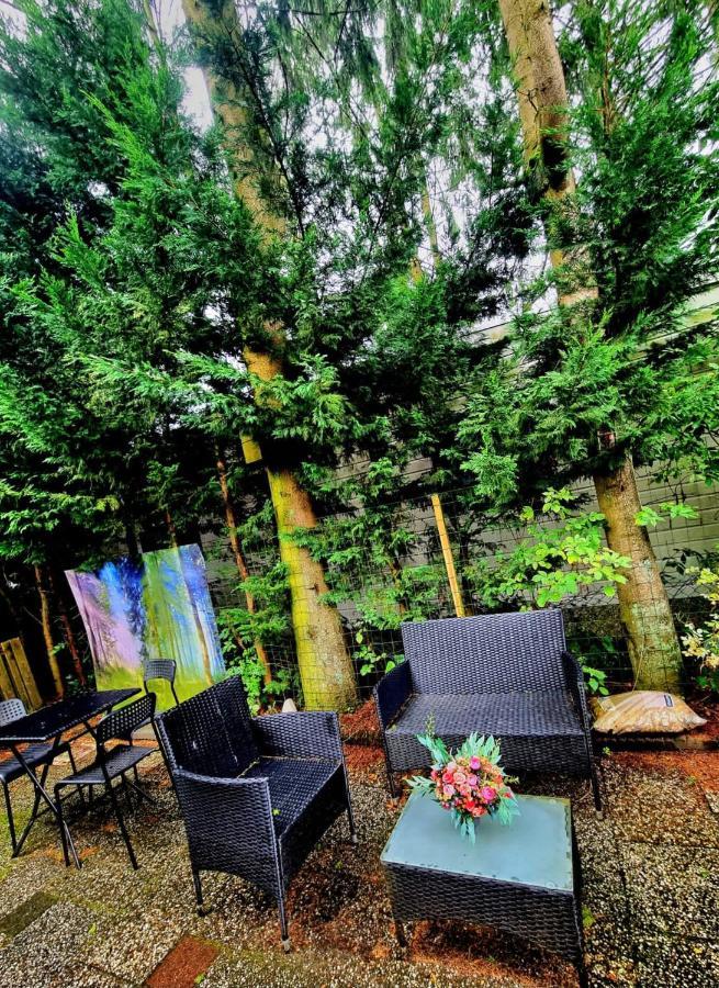 Chalet Op Een Rustig Park In De Natuur プッテン エクステリア 写真