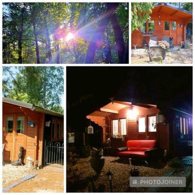 Chalet Op Een Rustig Park In De Natuur プッテン エクステリア 写真