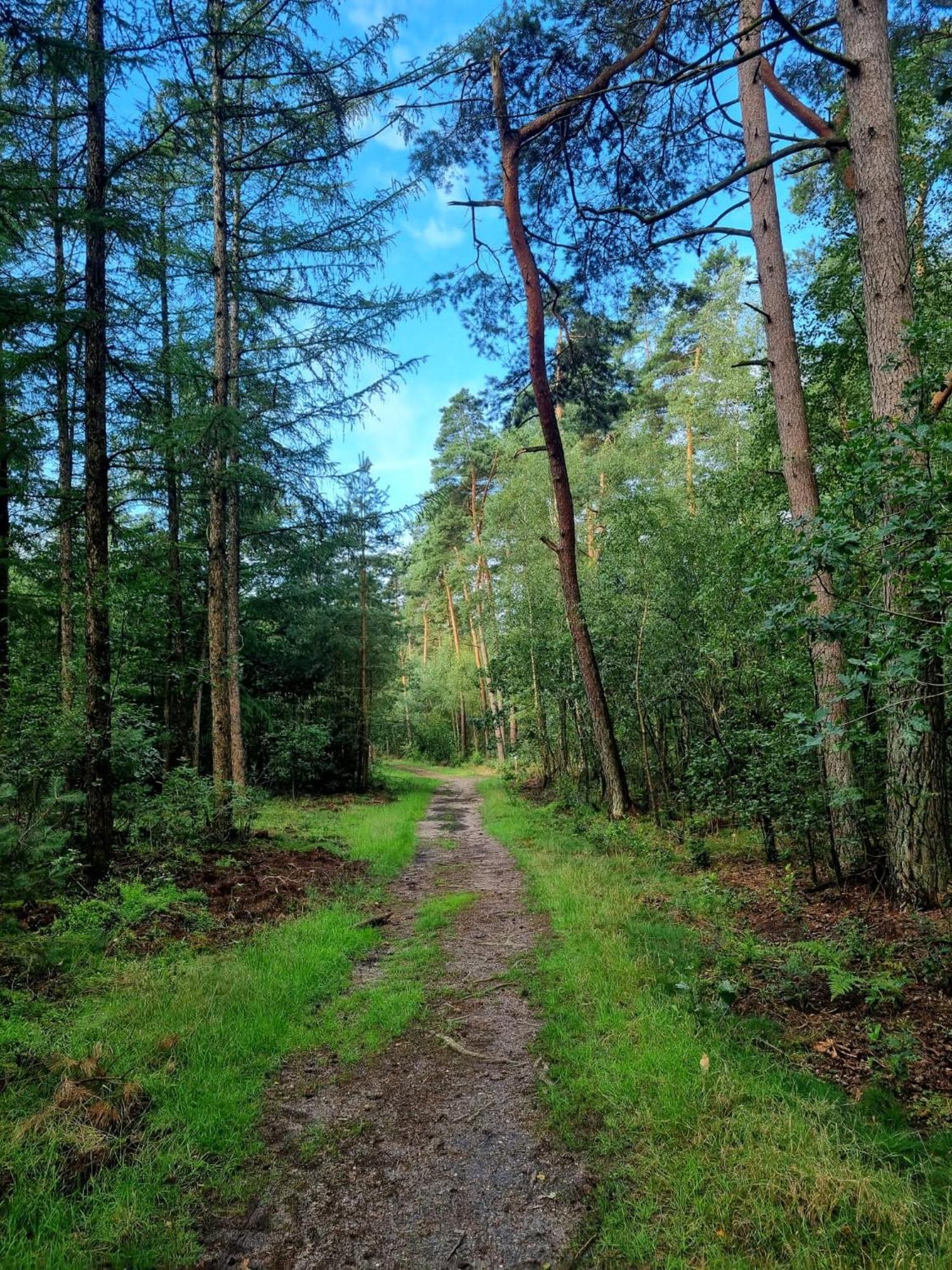 Chalet Op Een Rustig Park In De Natuur プッテン エクステリア 写真