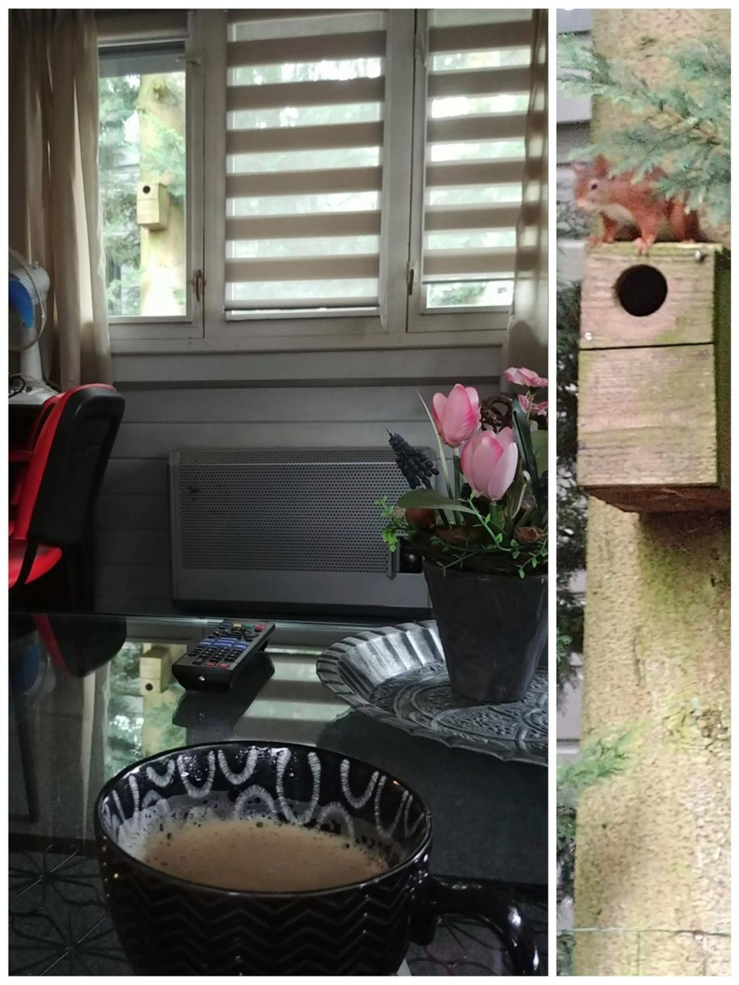 Chalet Op Een Rustig Park In De Natuur プッテン エクステリア 写真