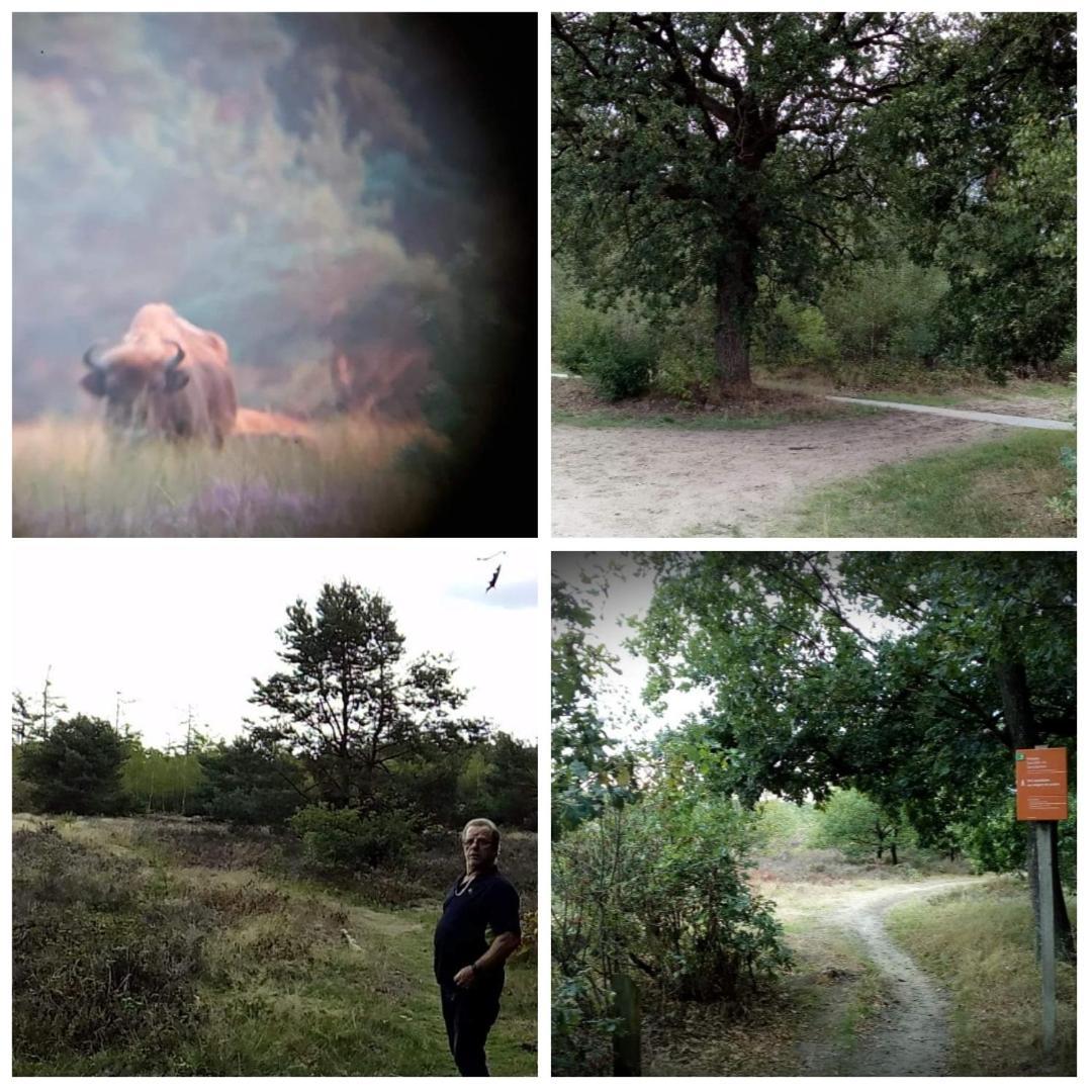 Chalet Op Een Rustig Park In De Natuur プッテン エクステリア 写真