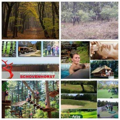 Chalet Op Een Rustig Park In De Natuur プッテン エクステリア 写真